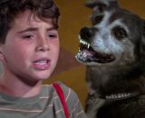 Un posto al sole, Jimmy Poggi (Gennaro De Simone) e la cagnolina Bricca