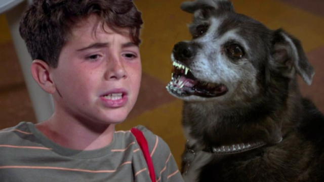 Un posto al sole, Jimmy Poggi (Gennaro De Simone) e la cagnolina Bricca