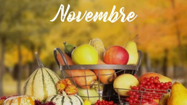 L'oroscopo del mese di novembre 2023.