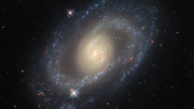 Previsioni astrologiche e classifica dell'11 novembre: Gemelli impegnati, Leone scaltro.