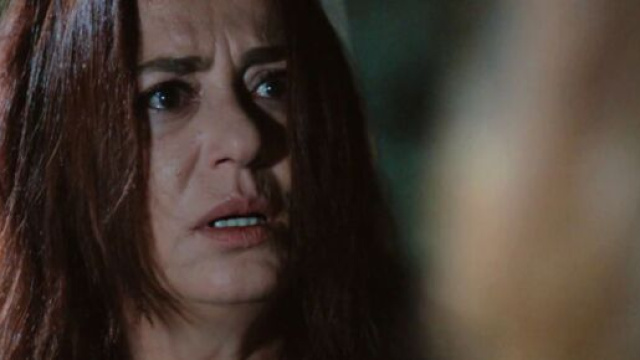 Terra amara, spoiler: Sevda faccia a faccia con un ladro per salvare il piccolo Adnan.