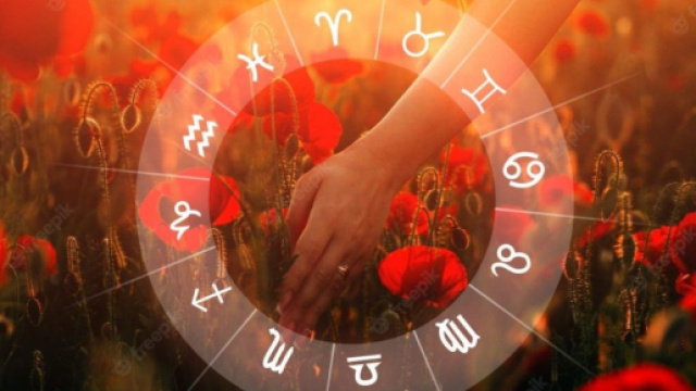 L'oroscopo dell'amore dal 13 al 19 novembre: Scorpione, Sagittario e Bilancia sul podio.