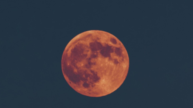 L'oroscopo di domani 24 novembre: Luna in Toro, Mercurio favorisce l'Ariete (1ª metà).