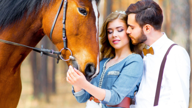 L'oroscopo della settimana dal 27 novembre al 3 dicembre: Gemelli un bel nove in pagella.