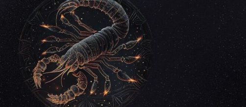 Oroscopo del 21 novembre per tutti i segni zodiacali: Scorpione magnetico.