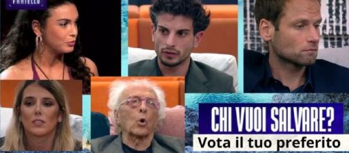 GF, televoto puntata del 6/11, pronostici dei fan: Mughini preferito, Baraldi rischia.