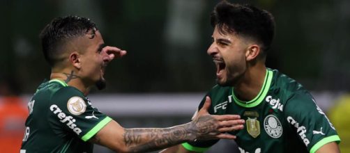 Palmeiras fará sua estreia fora de casa (Reprodução/Facebook/Palmeiras)