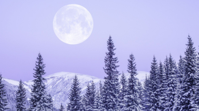 Oroscopo 13 dicembre 2023: Gemelli invitato a usare la comunicazione per evitare malintesi