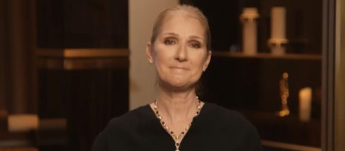 La cantante tuvo que suspender sus conciertos de 2023 y 2024 (Instagram, @celinedion)