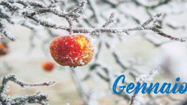 L'oroscopo del mese di gennaio: periodo di certezze per il Toro, Scorpione sereno.