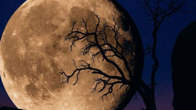 Previsioni zodiacali e classifica del 1° gennaio: Sagittario severo, Pesci empatici.