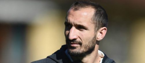 Giorgio Chiellini potrebbe ritornare da dirigente alla Juventus.