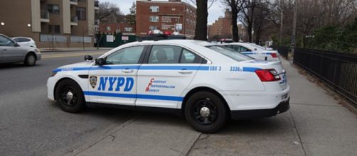 La Policía de Nueva York ha recuperado el cuchillo de cocina que presuntamente utilizó el sospechoso (WikimediaCommons)