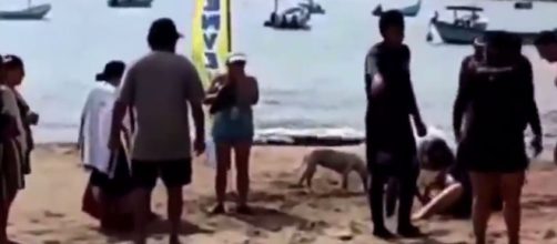Una mujer perdió la vida al morderla un tiburón y arrancarle la pierna en la playa de Melaque en México (X @noticias4vision)