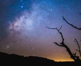 Previsioni astrologiche e classifica del 7 dicembre.