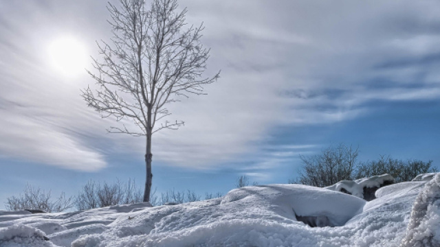 L'oroscopo di giovedì 7 dicembre: per la Bilancia opportunità di cambiamento.