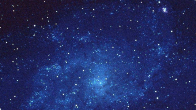 L'oroscopo fino al 17 dicembre: i voti per tutti i segni dello zodiaco