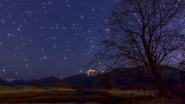 Oroscopo e voti del 19 febbraio: Cancro attento, Bilancia emotiva.
