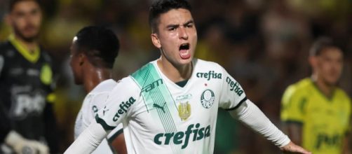 Palmeiras segue invicto na temporada (Reprodução/Twitter/@Palmeiras)