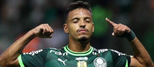 Palmeiras voltou a ter a melhor campanha (Reprodução/Twitter/Palmeiras)