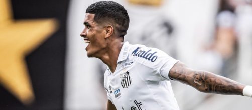 Santos está na briga por vaga nas quartas (Reprodução/Twitter/@SantosFC)