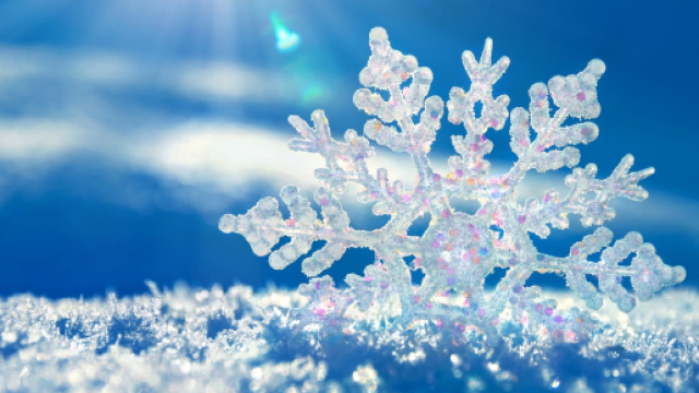 L'oroscopo e posizioni di martedì 7 febbraio: Pesci sorprendente.