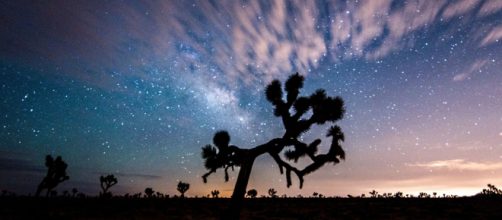 Oroscopo e voti del 9 febbraio: Sagittario lusingato, Pesci titubanti.
