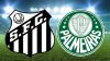 Santos x Palmeiras: onde assistir e informações do jogo do Brasileirão Feminino