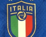 Figc: stop alla partnership con Fiat.