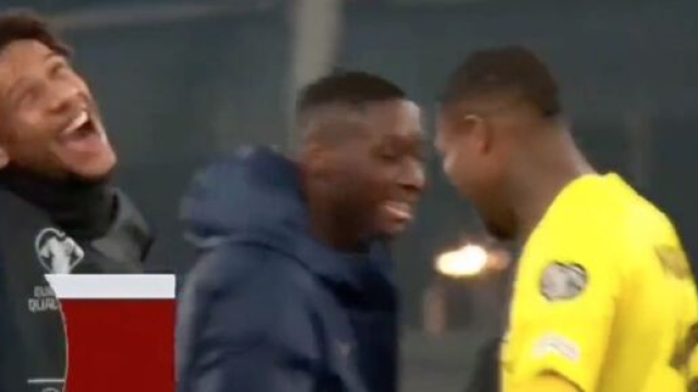 Maignan impressionnant face à l'Irlande ce lundi. (screenshot Twitter - @HRivayrand)