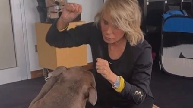 Amici 2023, cosa succede dietro le quinte