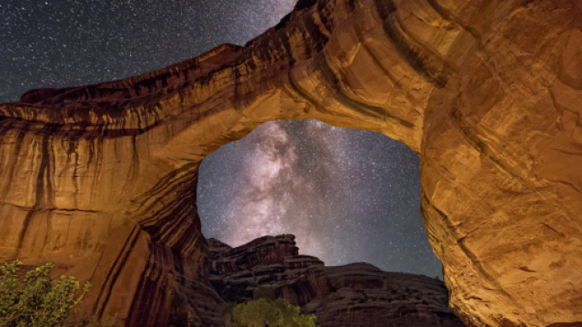 Previsioni astrologiche del 9 marzo: Toro passionale, Cancro stanco.