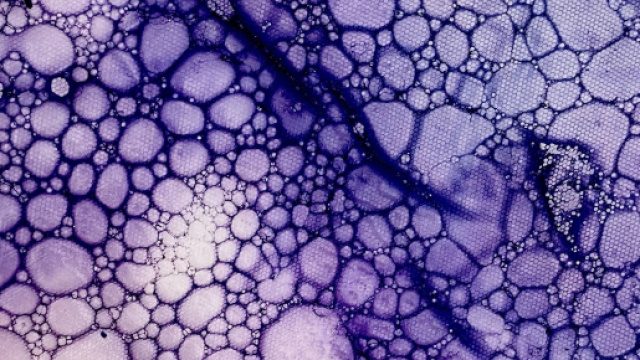 La texture fisica della medusa è essenziale per il lavoro di Sofia Masciotta.