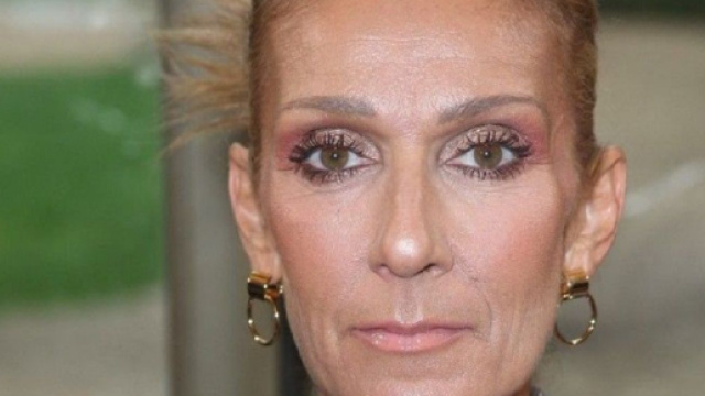 Céline Dion a annoncé une nouvelle qui ravit ses fans (Screenshoot Twitter @ELLEfrance)
