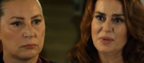 Terra amara, spoiler turchi:Hunkar ferita appreso che Demir continua a vedere Sevda.