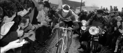 Eddy Merckx: 'Il ciclismo è troppo duro per i ragazzi italiani, Evenepoel è ora che vinca'.