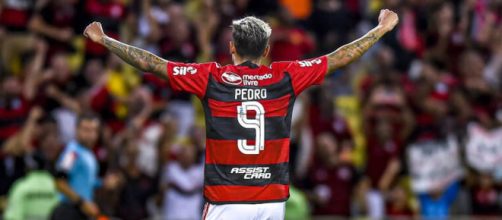 Pedro foi o destaque da rodada (Reprodução/Twitter/@Flamengo)