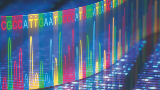 Team internazionale di ricercatori ha pubblicato un draft del pangenoma umano, un'istantanea che cattura maggiormente la diversit&agrave; umana