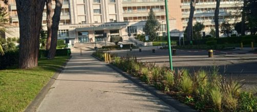 Napoli, raccolgono e mangiano funghi dal bosco dietro l'ospedale: un morto e 4 intossicati