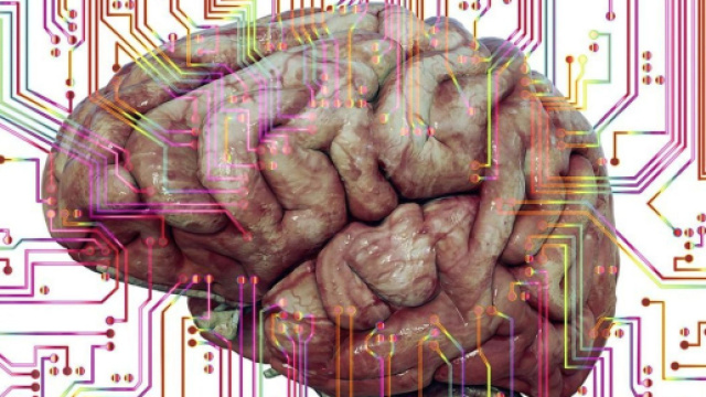 Un nuovo passo verso la decodifica dei pensieri umani: ricercatori creano un sistema che traduce i segnali cerebrali in parole