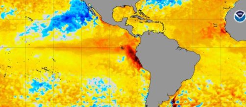 Satélite da Nasa capta aumento da temperatura no Oceano Pacífico (Divulgação/NOAA)