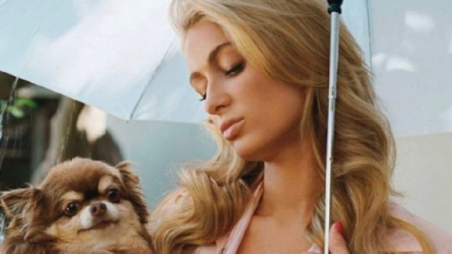 Paris Hilton et son chihuahua (Screenshoot Twitter @bitah659)