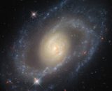 Previsioni zodiacali e classifica del 29 maggio: Scorpione coraggioso, Pesci attenti.