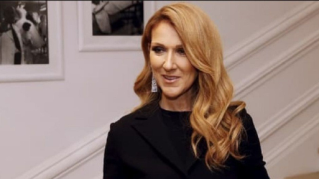 Céline Dion a annulé sa tournée jusqu'en avril 2024 (Screenshoot Twitter @BFMTV)