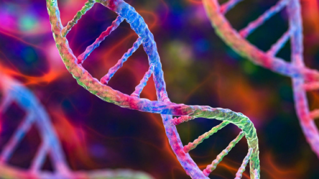 Il futuro del data center potrebbe essere diverso, i dati non saranno memorizzati come zero e uno in un hard disk, ma come coppie di basi di DNA