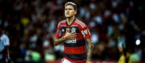Flamengo volta contra o Goiás. (Instagram/@pedroguilherme)