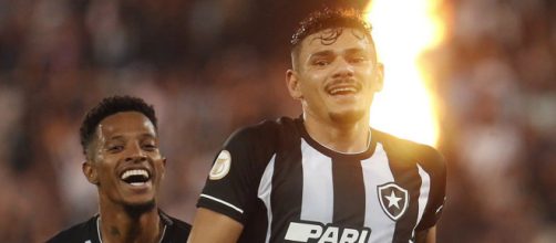 Botafogo segue líder do campeonato (Reprodução/Twitter/@Botafogo)