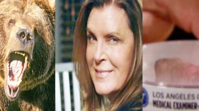 Beautiful, anticipazioni: Sheila sbranata da un orso