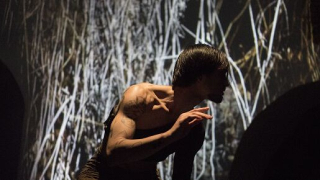 A Borgo Acqua Paola workshop e spettacoli con il Festival Dancescreen in the Land.