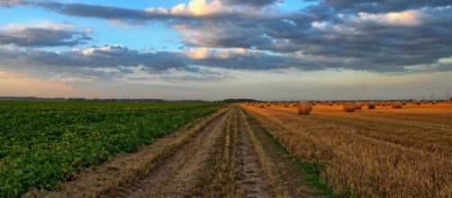 Muere un agricultor por un golpe de calor en Ciudad Real (Pixabay)